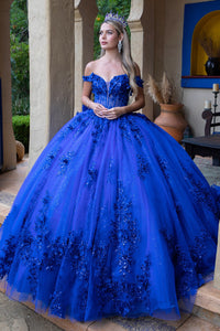 Off Shoulder Ball Gown with 3D Floral Appliqué & Glitter Tulle Skirt by Elizabeth K GL3521