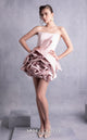Gaby Charbachi GOS2502 Strapless Ruffled Pink Gown by MNM Couture
