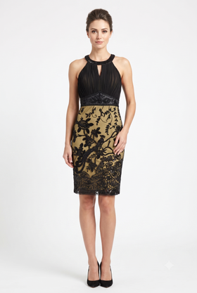 Sue Wong N4117 Keyhole Appliqué Mesh Sheath Dress