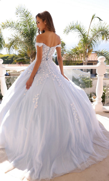 Off-the-Shoulder Lace-Up Long Prom Ball Gown | Nox Anabel H1352