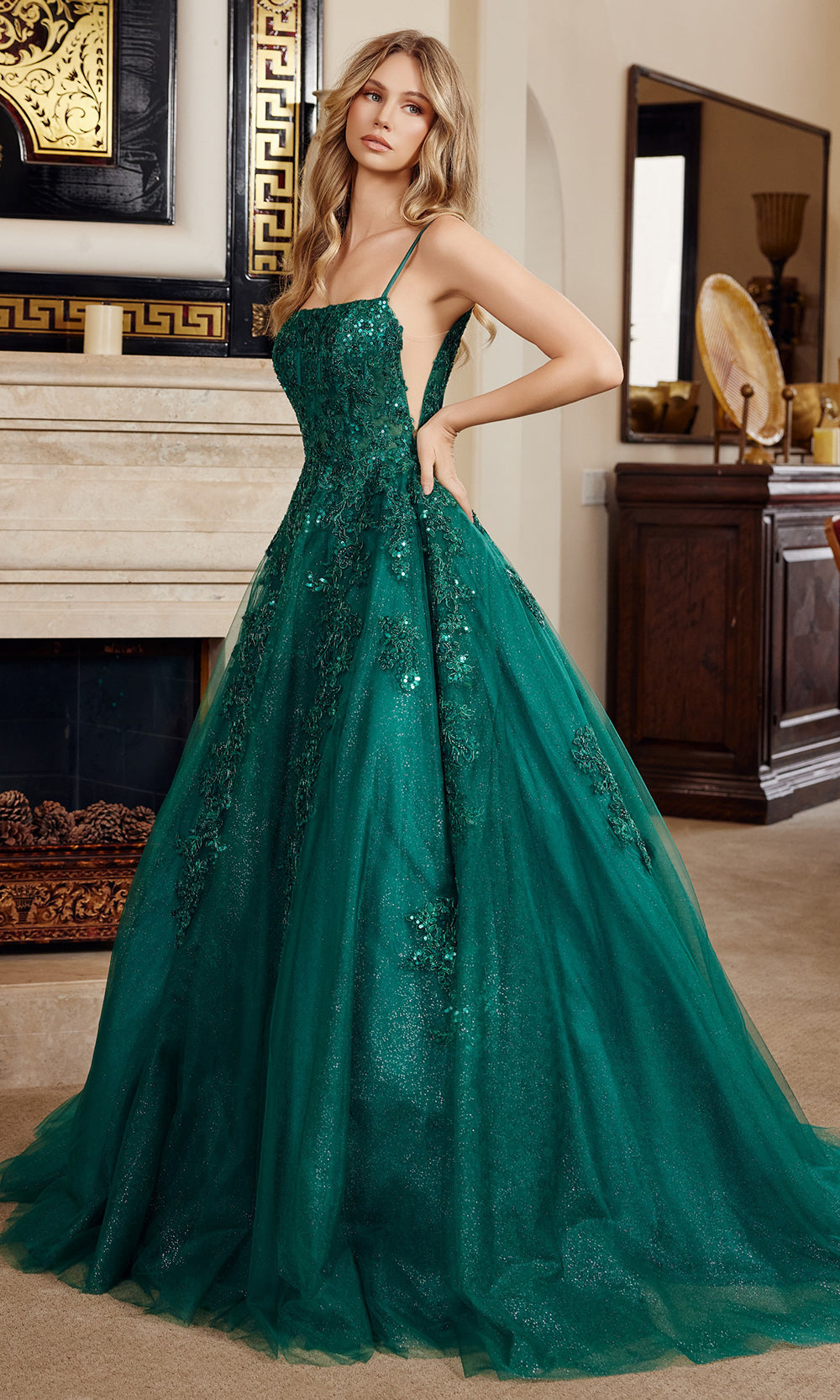 Nox Anabel H1880 Illusion Applique Ball Gown Long Evening Gown