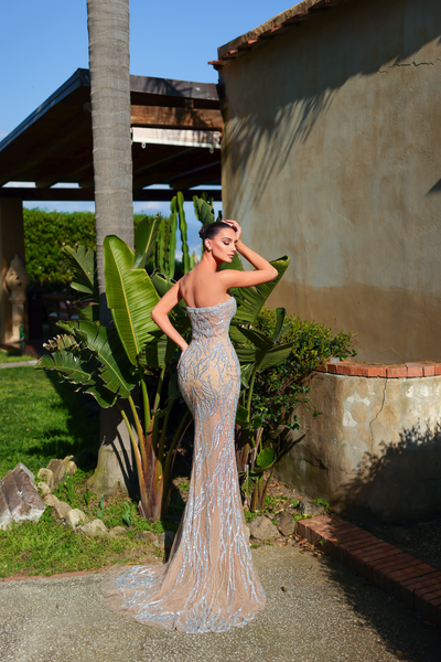 Chic and Holland Nude Dress
