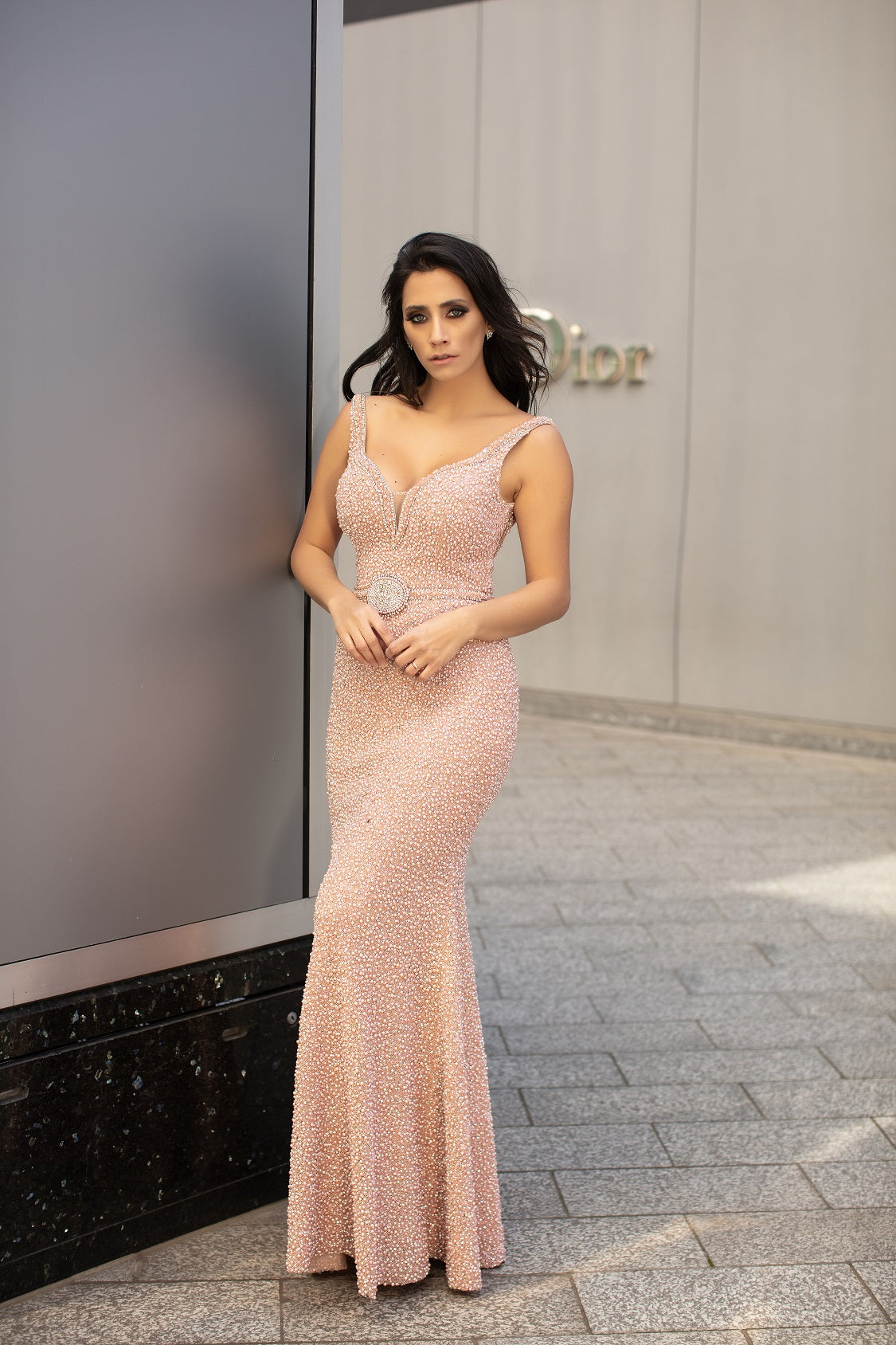 Chic and Holland Blush Dress