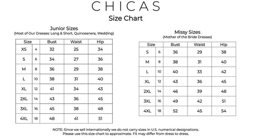 Chicas LM8006 Printed Blush BallDress Strapless Floral Floor-Length Fabric Dress