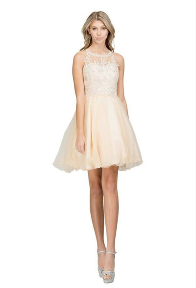 Chicas DM4002 Modern Formal Royal Chic Style Fabric Dress