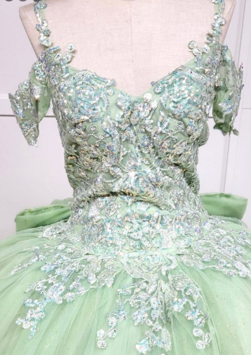 Chicas HF3089 Printed Glitter Royal BallDress Sweetheart Floral Tulle Dress