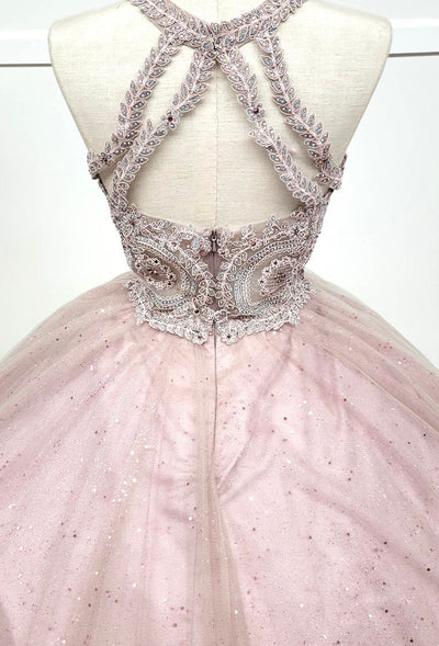 Chicas YG5014 Glitter Formal Wine BallDress Illusion Floor-Length Tulle Dress