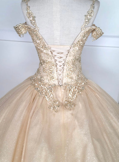 Chicas C1535 Quinceañera Royal BallDress Floor-Length Corset Embroidered Tulle Dress