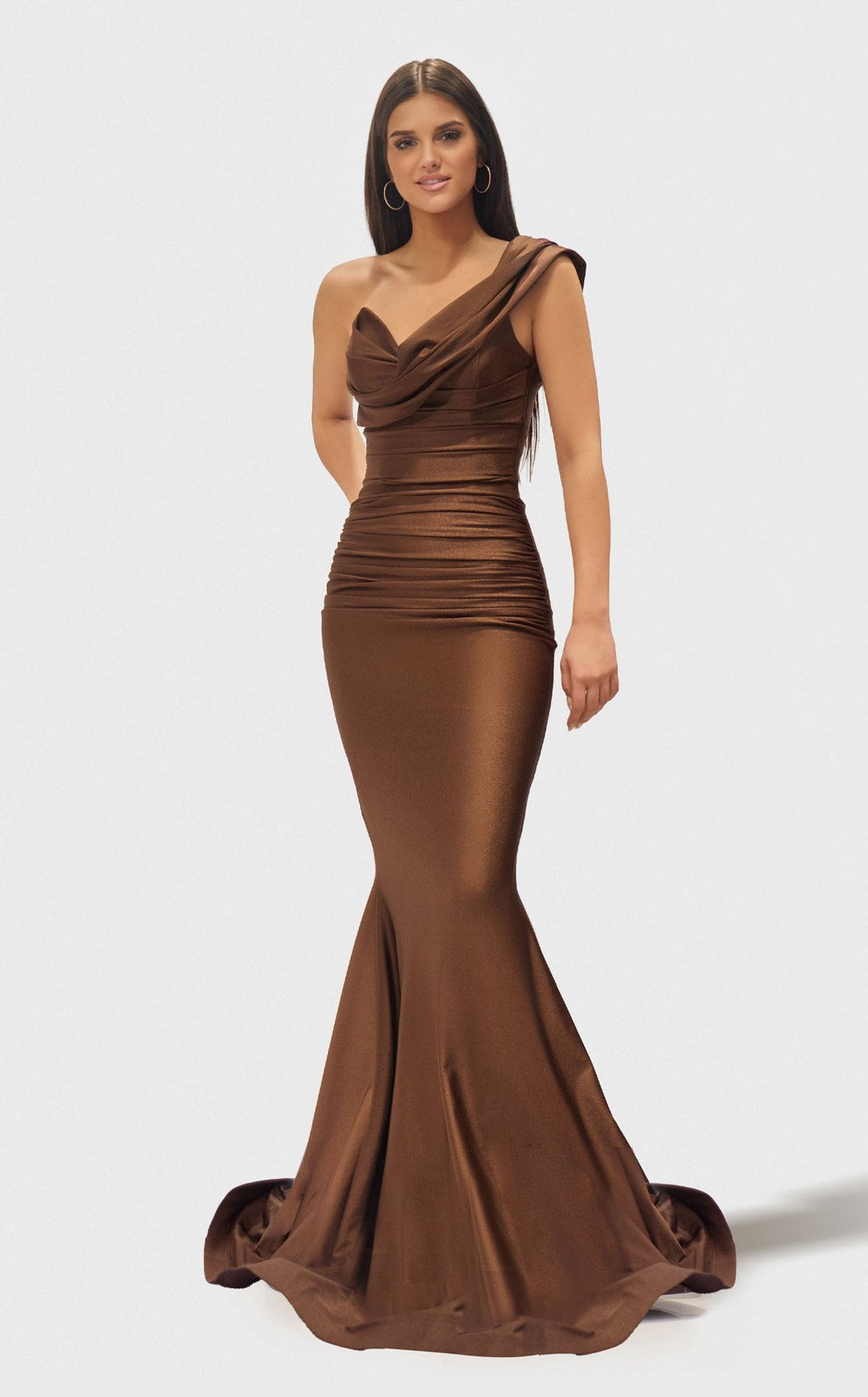 Prom Dresses Evening Formal Fitted Long Prom Dress Chocolate
