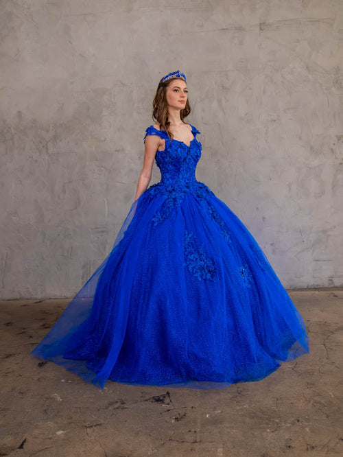 3D Floral Off-Shoulder Glitter Ball Gown by Calla KY73112