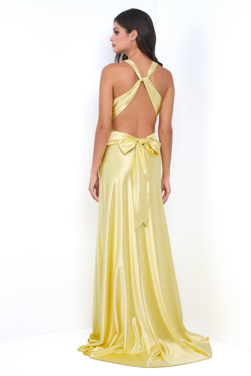 Velvi Dress