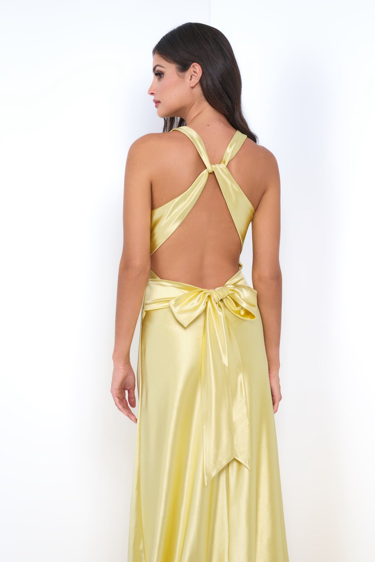 Velvi Dress