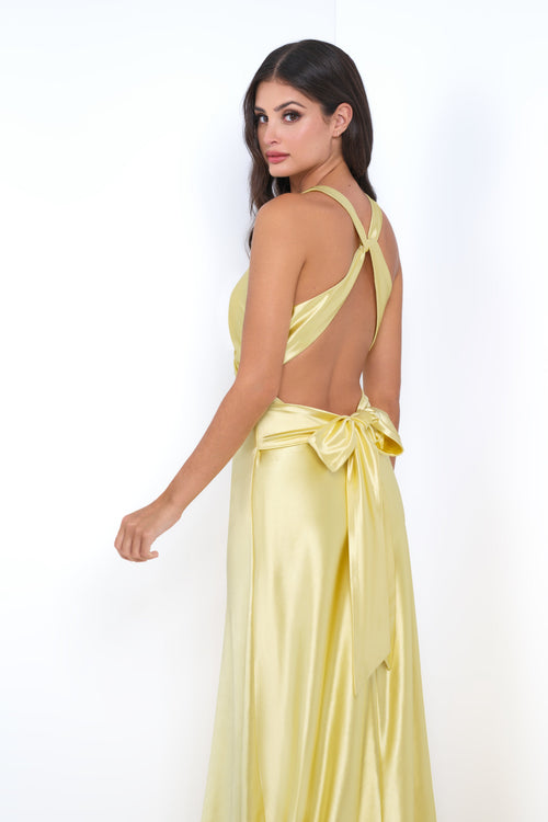 Velvi Dress