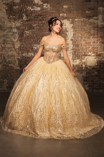 Sweet 16 Birthday Party Dress in Champagne by LK264 Ball Gown