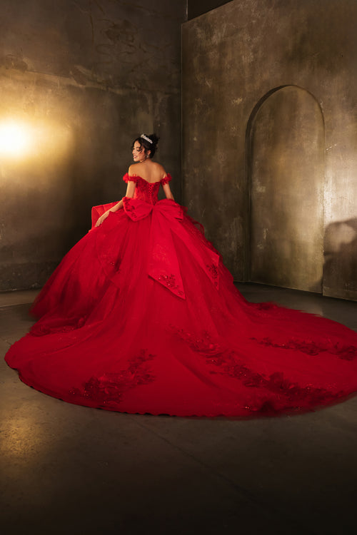 Layla K LK270 Off-Shoulder Floral Applique Ball Gown Quinceañera Dress-New Collection