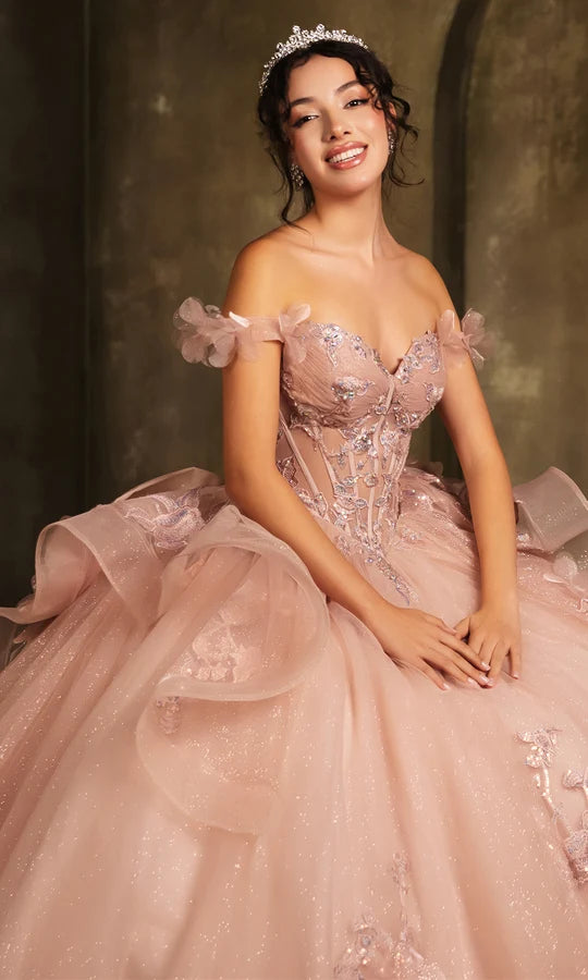 Layla K LK270 Off-Shoulder Floral Applique Ball Gown Quinceañera Dress-New Collection