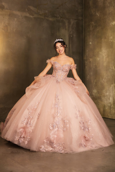 Layla K LK270 Off-Shoulder Floral Applique Ball Gown Quinceañera Dress-New Collection