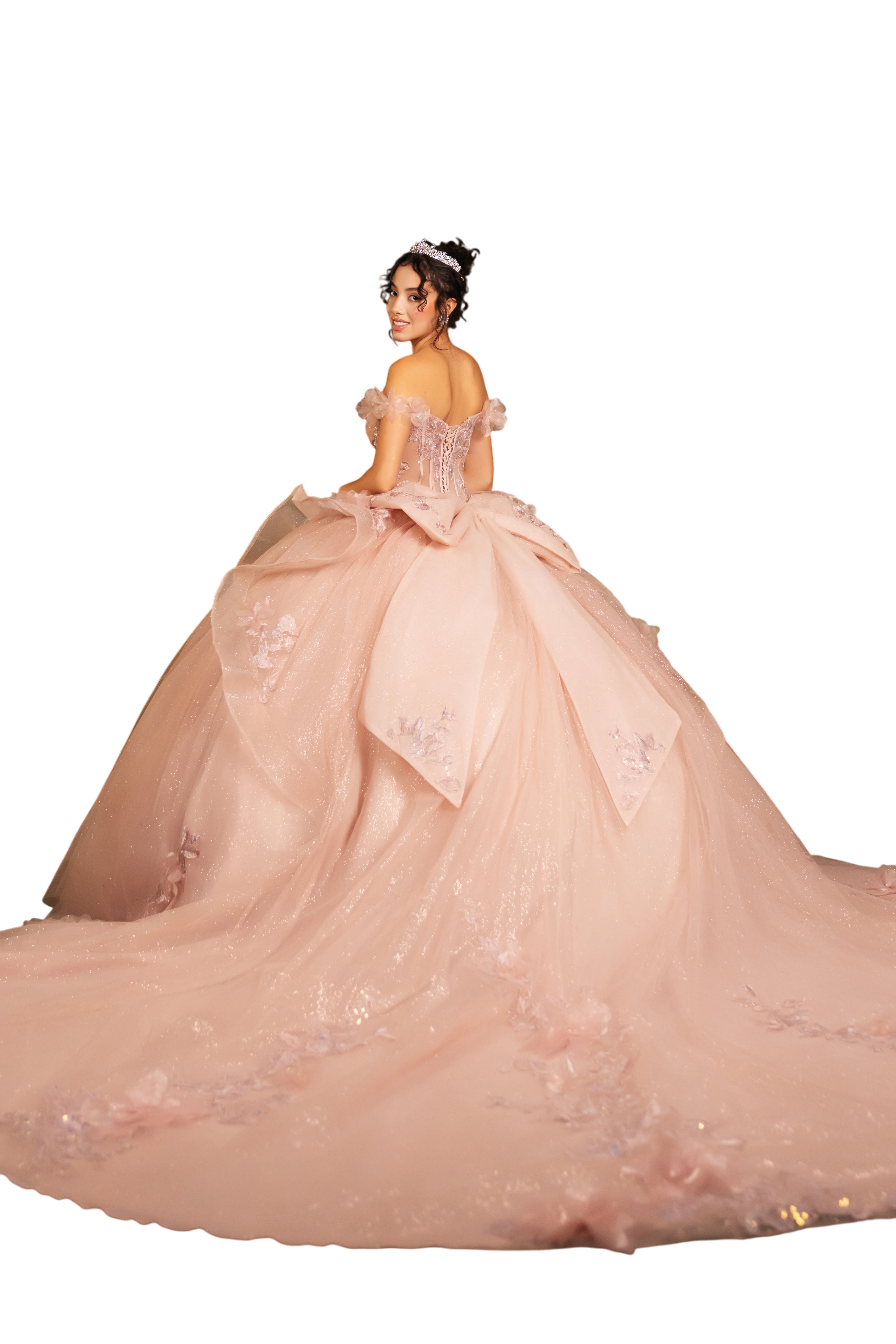 Layla K LK270 Off-Shoulder Floral Applique Ball Gown Quinceañera Dress-New Collection