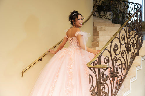 Plus Size Ball Gown in Blush | Formal Quinceanera Dress by LK280