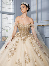 Layla K LK280 Floral 3D Applique Ball Gown Off-Shoulder Quinceañera Dress