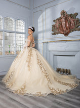Layla K LK280 Floral 3D Applique Ball Gown Off-Shoulder Quinceañera Dress