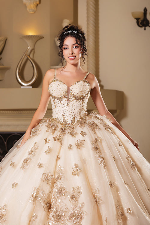 Layla K LK282 Floral Quinceañera Ball Gown with Beaded Corset Bodice