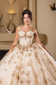 Layla K LK282 Floral Quinceañera Ball Gown with Beaded Corset Bodice