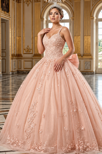 Sweet 16 Birthday Party Dress in Blush Style LK174 Ball Gown