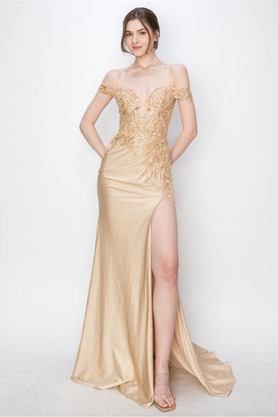 Prom Dresses Prom Long Formal Glitter Applique Dress Champagne