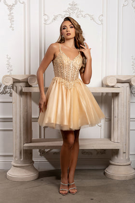Beaded Floral Embroidered Illusion Corset Glitter Tulle Flared Short Dress by May Queen MQ2231