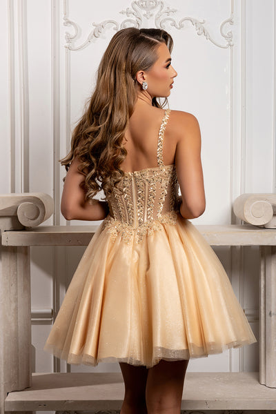 Beaded Floral Embroidered Illusion Corset Glitter Tulle Flared Short Dress by May Queen MQ2231