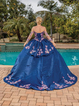 Dancing Queen DQ1816 Illusion Scoop Neck Floral Applique Ball Gown with Long Sheer Sleeves