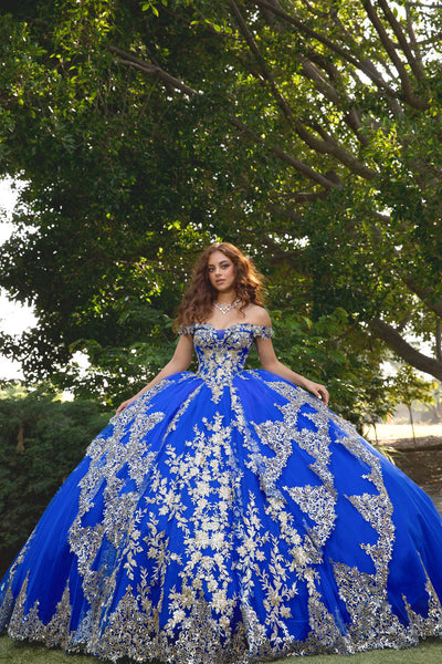 Applique Off Shoulder Quinceanera Dress Corset Ball Gown with Train by Bella Princess PQ1055