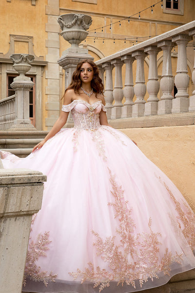 Applique Off Shoulder Ball Gown by Bella Princess PQ1082