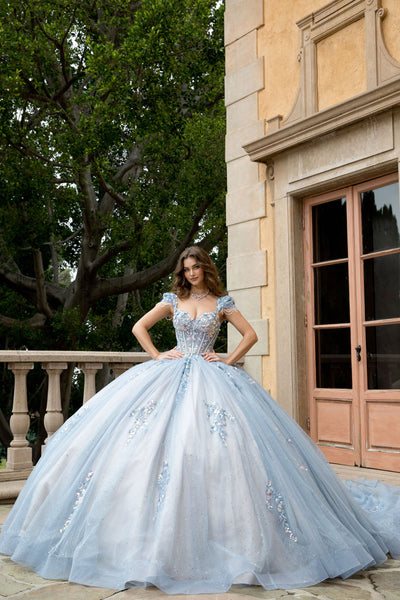 Strapless Cap Sleeve Ball Gown by Bella Princess PQ1094
