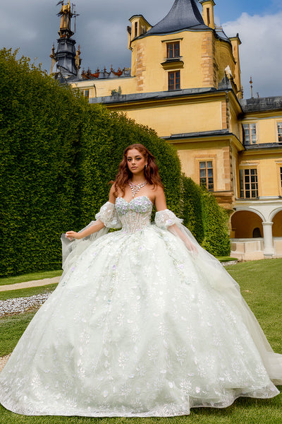 3D Floral Cape Sleeve Ball Gown by Bella Princess PQ1084