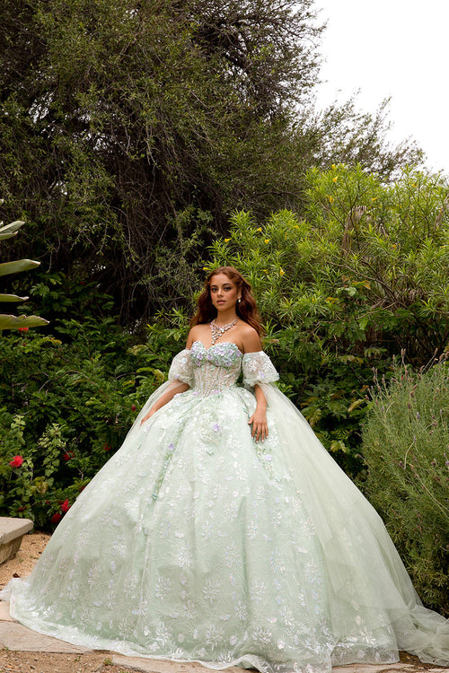 3D Floral Cape Sleeve Ball Gown by Bella Princess PQ1084