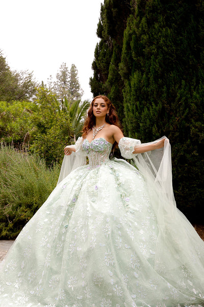 3D Floral Cape Sleeve Ball Gown by Bella Princess PQ1084