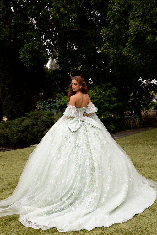 3D Floral Cape Sleeve Ball Gown by Bella Princess PQ1084