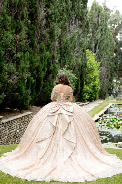 Off Shoulder Corset Ball Gown by Bella Princess PQ1087