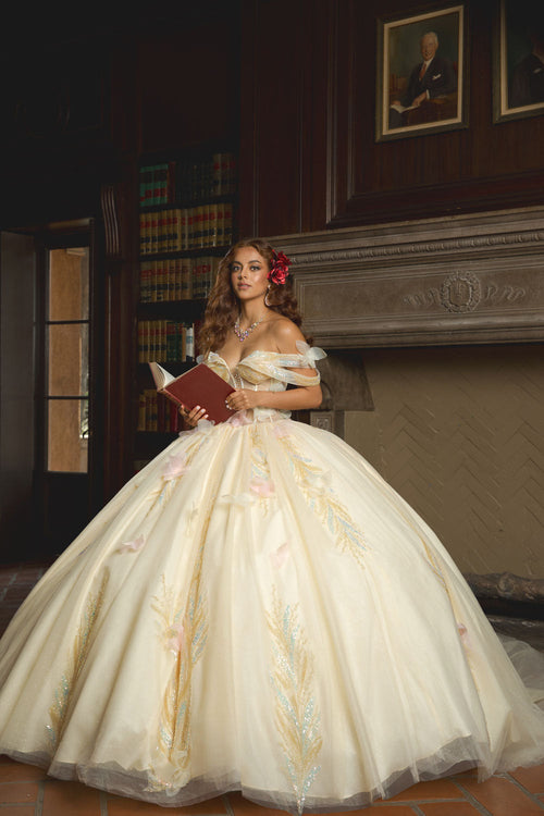 Off Shoulder Corset Ball Gown by Bella Princess PQ1088
