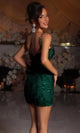 Portia and Scarlett Crystal Vine Mini Dress