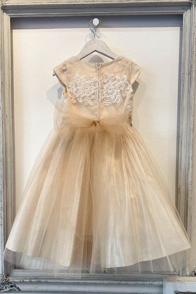 Embroidered Flower Dress with Tulle Skirt  Cap Sleeve Sparkle by Bella Princess 299