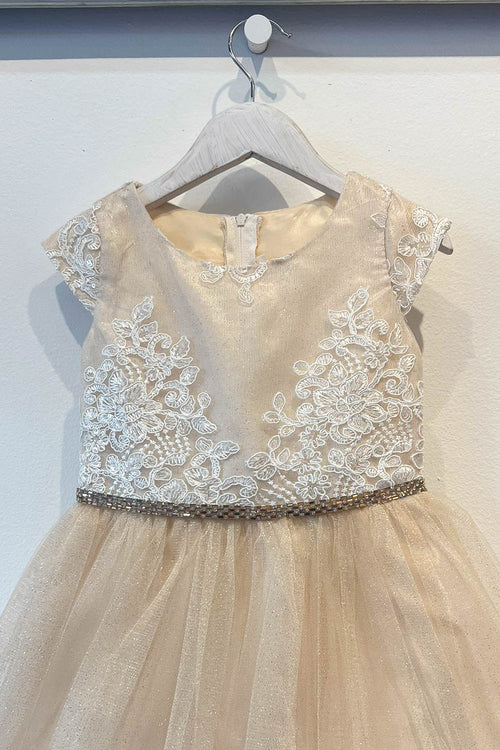 Embroidered Flower Dress with Tulle Skirt  Cap Sleeve Sparkle by Bella Princess 299