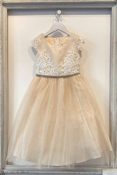 Embroidered Flower Dress with Tulle Skirt  Cap Sleeve Sparkle by Bella Princess 299