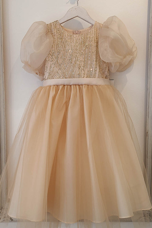 Tulle Dress with Sequins and Puff Sleeves Sweet Party Outfit by Bella Princess 316