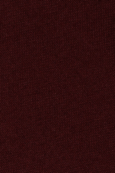 Conjunto de esmoquin burdeos para niños "Prodigy" de 5 piezas