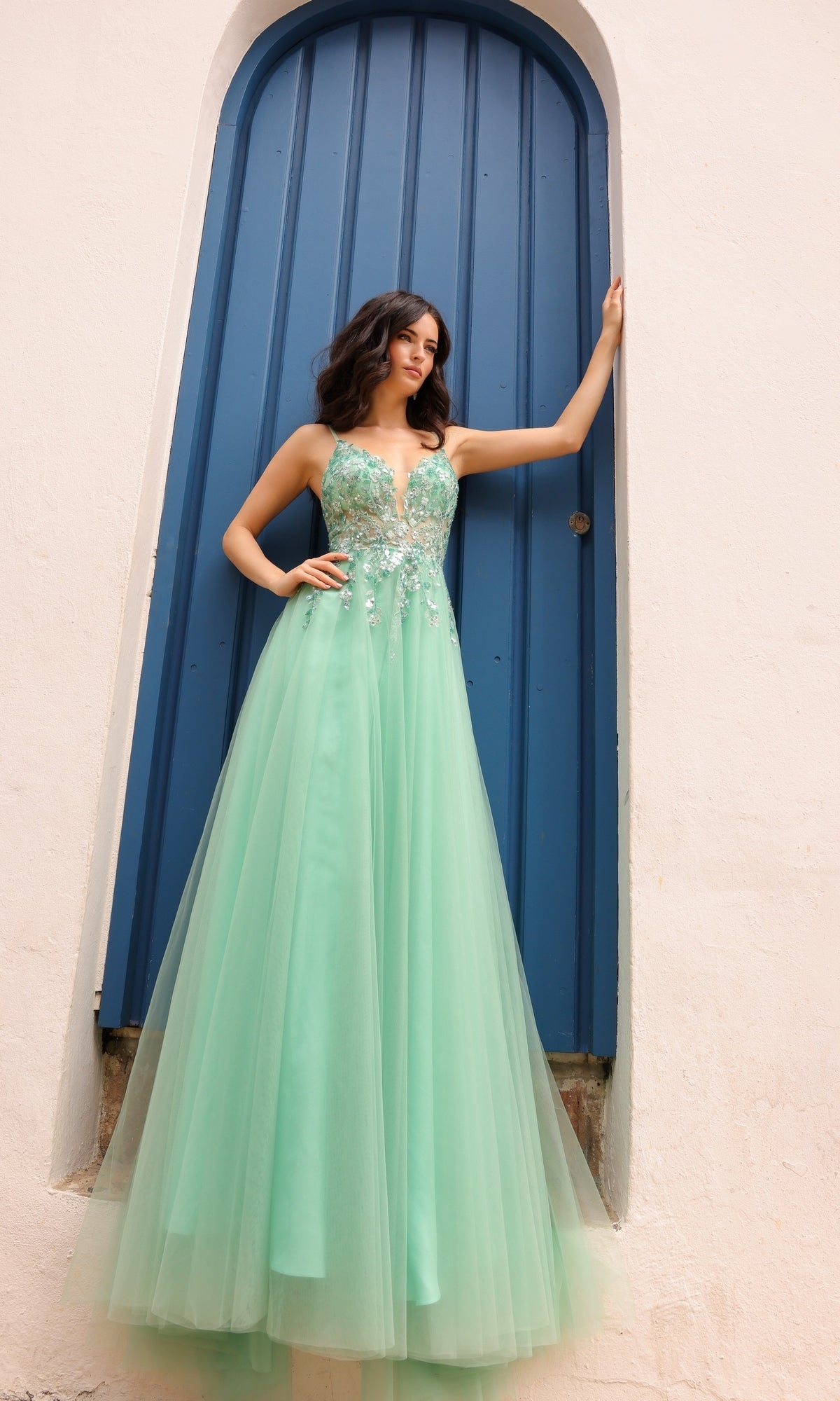 Vestido de fiesta largo de tul con escote en A y espalda en V profundo Q1391