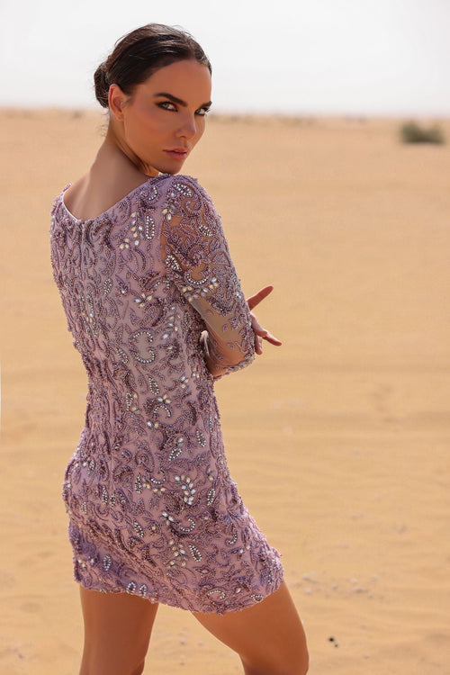 Chic and Holland BLUSH Dress
