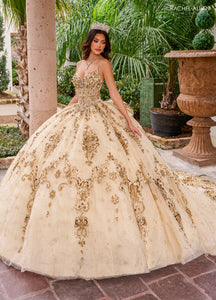 Quinceanera Mom Dress Silver